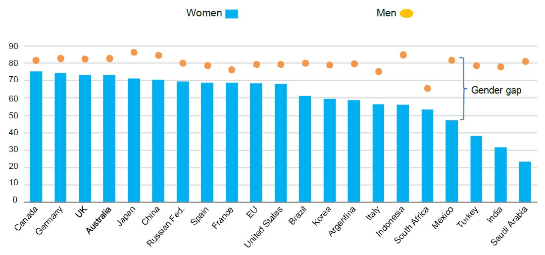 G20 Gender Gap Indicators
