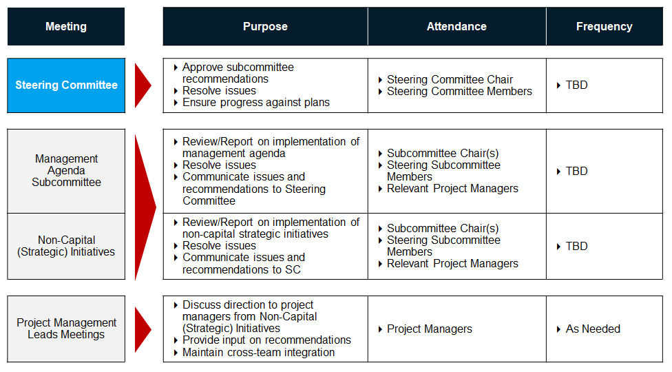 Structured and regular program management meetings will promote effective implementation