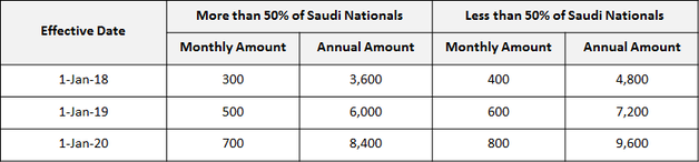 Saudi Company Levy – Fees for expatriate employees