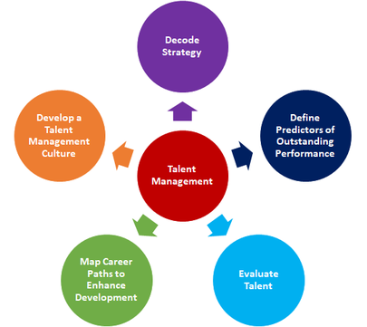 Talent Management Approach | People Excellence
