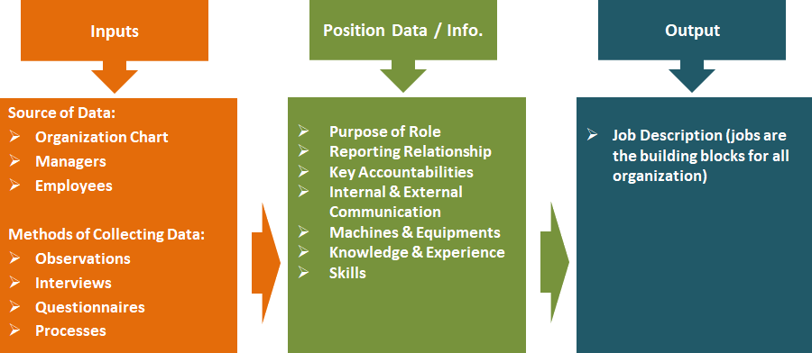 Organizational Chart With Job Description
