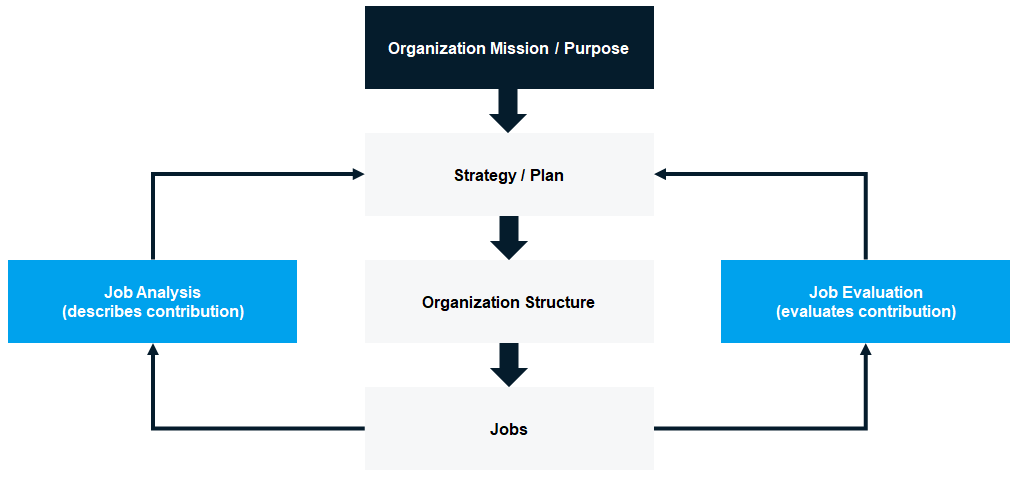 The Organizational Cascade
